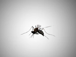 low poly rigged mosquito 3D Model