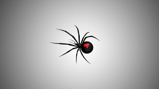 low poly rigged black widow 3D 모델 .c4d .max .obj .3ds .fbx .stl .blend 
