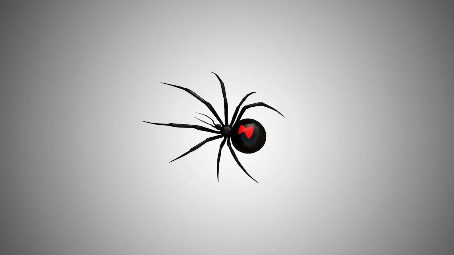 low poly rigged black widow 3D Model .c4d .max .obj .3ds .fbx .stl .blend 