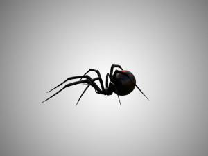 low poly rigged black widow 3D 모델