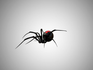 low poly rigged black widow 3D 모델