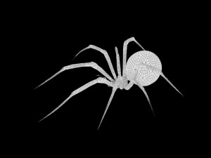 low poly rigged black widow 3D 모델