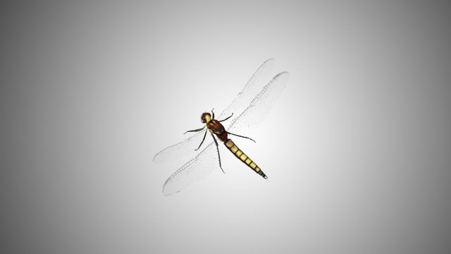 dragon fly low poly rigged 3D Model .c4d .max .obj .3ds .fbx .stl .blend 