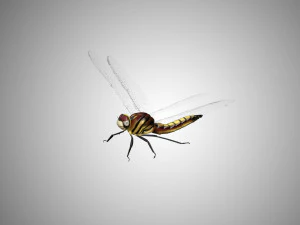 dragon fly low poly rigged 3D Model