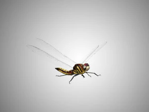 dragon fly low poly rigged 3D Model
