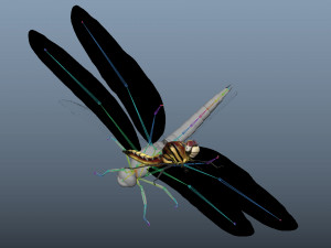 dragon fly low poly rigged 3D Model