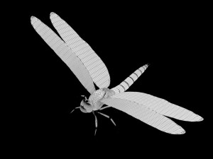 dragon fly low poly rigged 3D Model