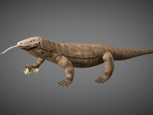 3d rigged low poly komodo dragon model 3D-Modell