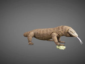 3d rigged low poly komodo dragon model 3D Model