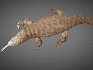 3d rigged low poly komodo dragon model 3D Model