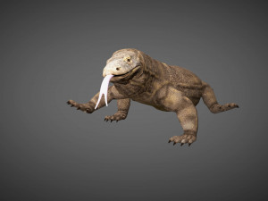 3d rigged low poly komodo dragon model 3D 模型