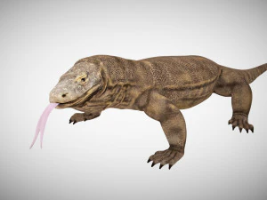 3d rigged low poly komodo dragon model 3D Model