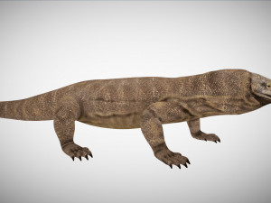 3d rigged low poly komodo dragon model 3D 模型