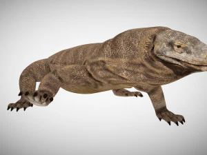 3d rigged low poly komodo dragon model 3D Model