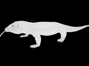 3d rigged low poly komodo dragon model 3D Model