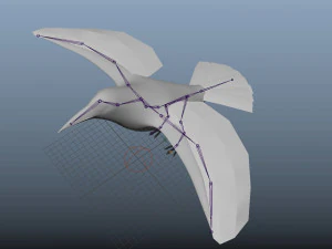 crow rigged low poly 3D Model