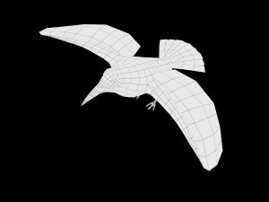 crow rigged low poly 3D Model