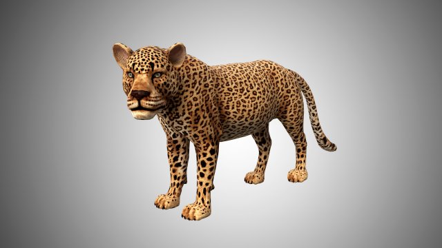 3d rigged low poly leopard model 3D 모델 .c4d .max .obj .3ds .fbx .stl .blend 