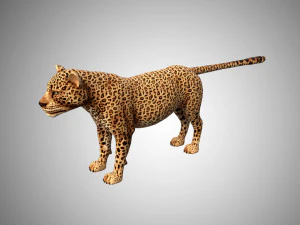 3d rigged low poly leopard model 3D Model