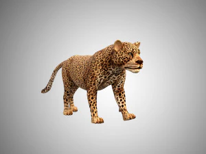 3d rigged low poly leopard model 3D Model