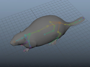 realistic high detailed low poly beaver 3Dモデル