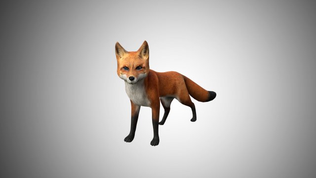 low poly rigged fox 3D-Modell .c4d .max .obj .3ds .fbx .stl .blend 