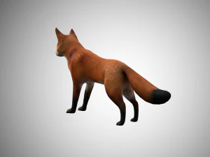 low poly rigged fox 3D Model