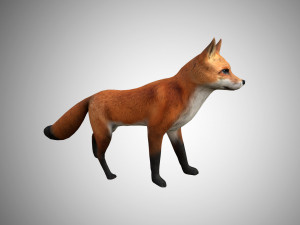 low poly rigged fox 3D-Modell