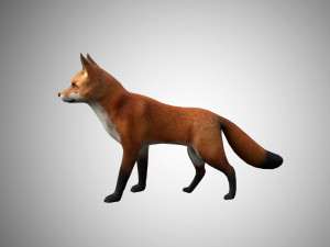 low poly rigged fox 3D-Modell