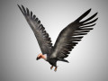 low poly rigged vulture condor 3D Model