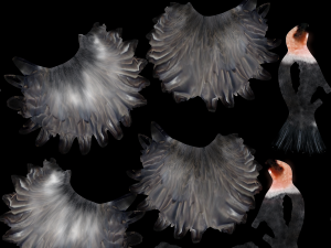 low poly rigged vulture condor 3D मॉडल