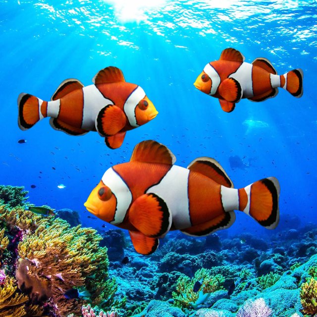 low poly rigged clownfish Model 3D .c4d .max .obj .3ds .fbx .stl .blend 
