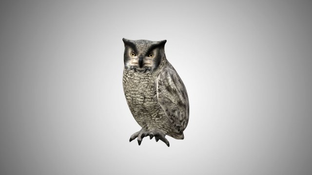horned owl low poly rigged 3D Model .c4d .max .obj .3ds .fbx .stl .blend 