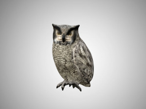 horned owl low poly rigged 3D Model
