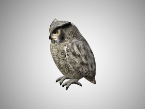 horned owl low poly rigged 3D Model