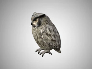 horned owl low poly rigged 3D Model