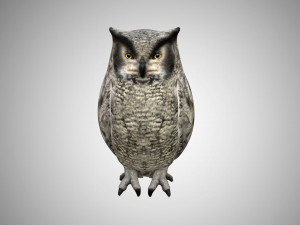 horned owl low poly rigged 3D Model