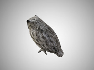 horned owl low poly rigged 3D Model