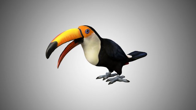 rigged low poly toucan keel billed 3D 模型 .c4d .max .obj .3ds .fbx .stl .blend 
