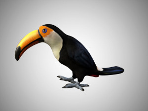 rigged low poly toucan keel billed 3D 模型