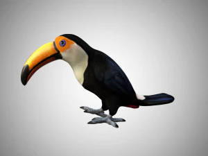 rigged low poly toucan keel billed 3D Model
