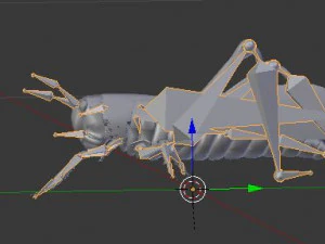 realistic rigged locust grasshopper 3D Model