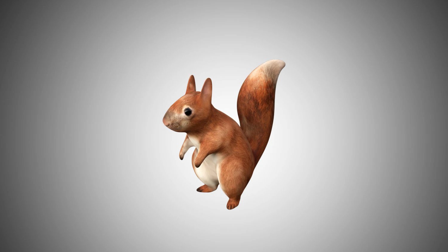 realistic rigged low poly squirrel game ready 3D Model .c4d .max .obj .3ds .fbx .stl .blend 