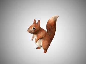 realistic rigged low poly squirrel game ready 3Dモデル