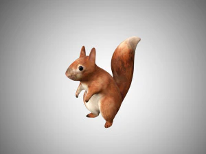 gerçekçi hileli düşük poli sincap oyununa hazır 3D Model