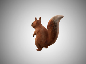 realistic rigged low poly squirrel game ready Modelo 3D