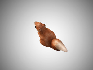 realistic rigged low poly squirrel game ready Modelo 3D