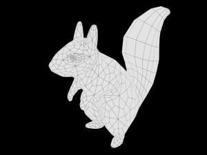 realistic rigged low poly squirrel game ready Modelo 3D