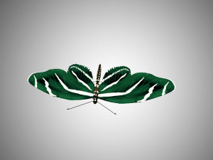 low poly rigged butterfly collection game ready collection Model 3D