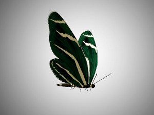 low poly rigged butterfly collection game ready collection Model 3D